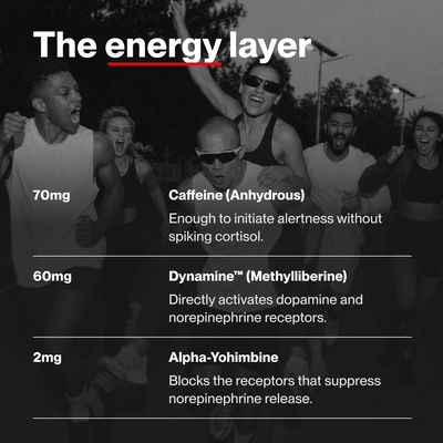 VOLTA 01 nootropic pouch ingredient label — Caffeine 70mg Dynamine 60mg DMAE 110mg full transparency