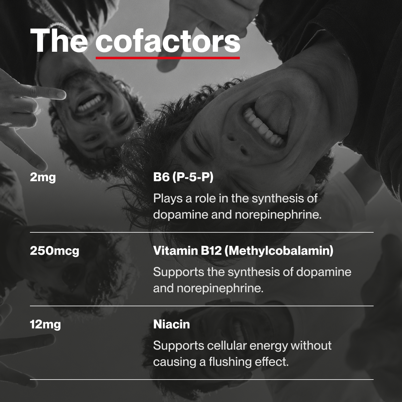 VOLTA 01 nootropic pouch dosage chart — Huperzine A Alpha-Yohimbine P5P Methylcobalamin