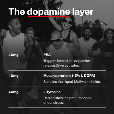 VOLTA 02 dopamine supplement facts — Mucuna Pruriens Rhodiola Saffron L-Tyrosine dosage panel