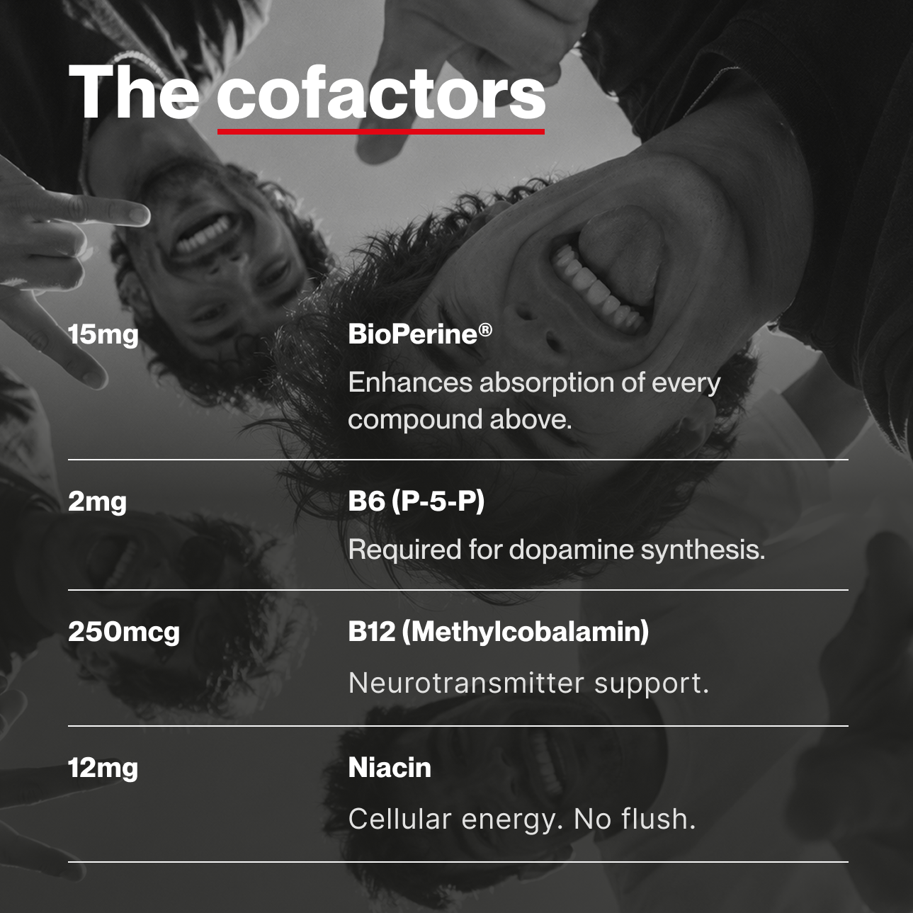 VOLTA 02 nootropic pouch dosage chart — BioPerine Vitamin C B-complex absorption stack