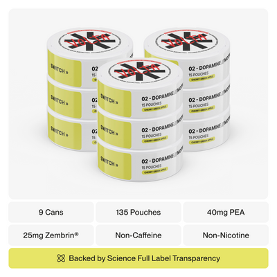VOLTA 02 motivation pouch 3-pack bundle — dopamine nootropic supplement nicotine-free